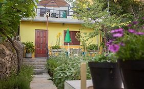 Apartment Pipo